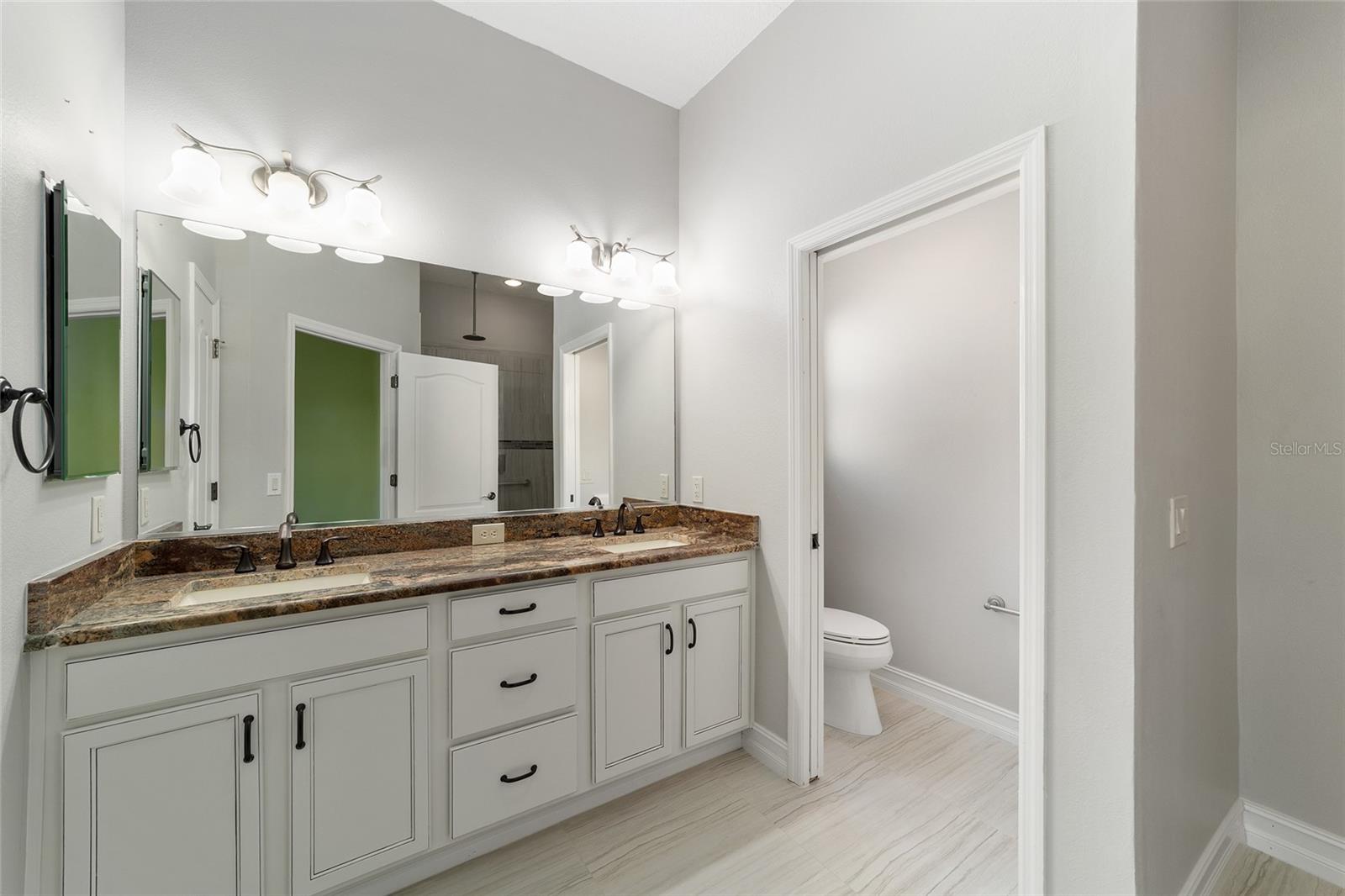 1109 ALCOVE LOOP, THE VILLAGES, FL, 32162