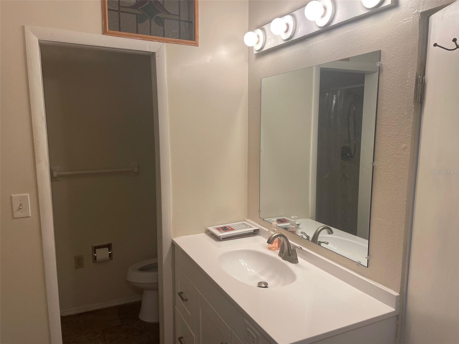 204 CALLITRIS AVE, POLK CITY, FL, 33868