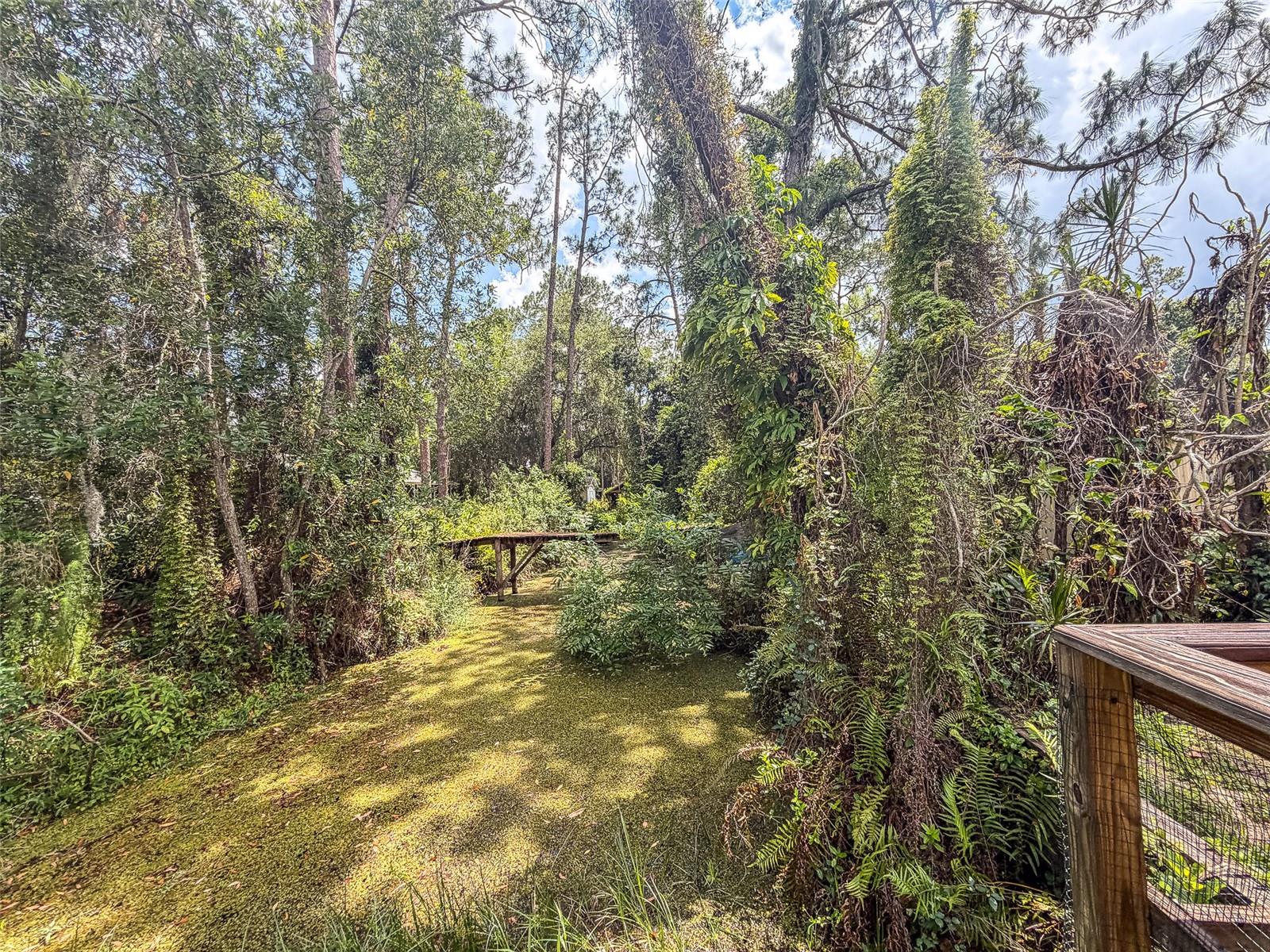 305 CLOVERLEAF RD, LAKE PLACID, FL, 33852