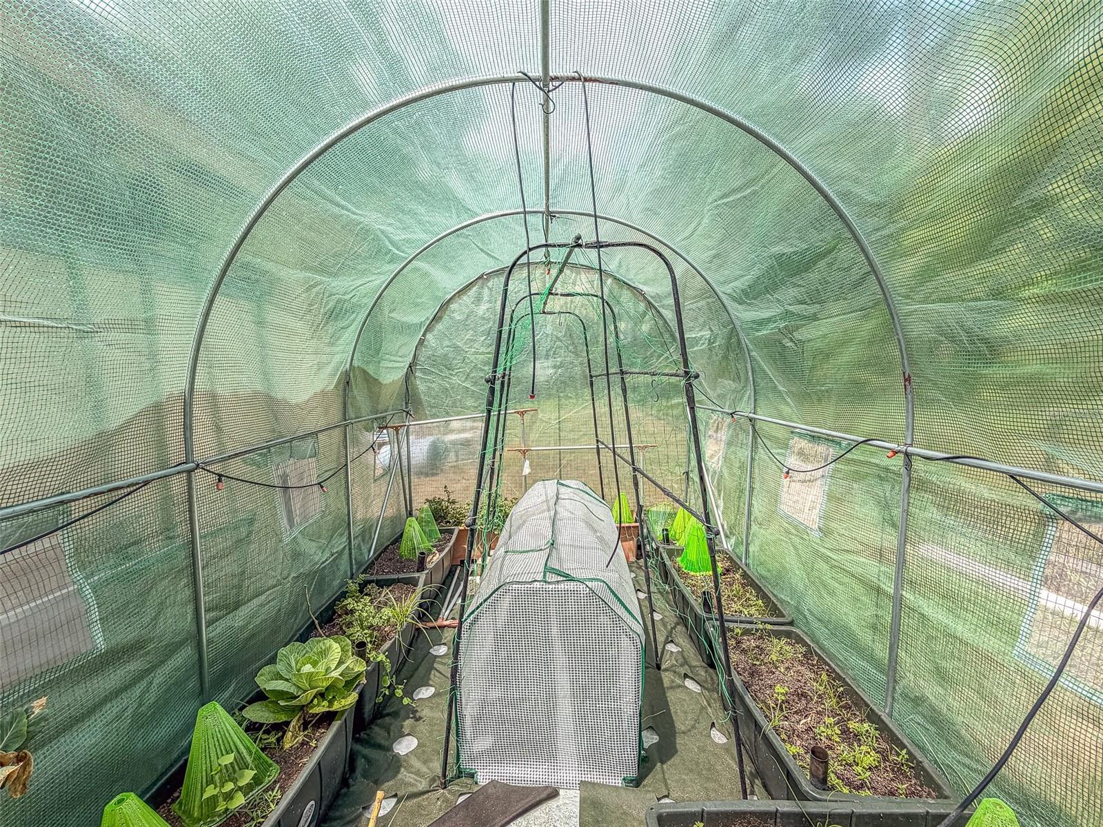 305 CLOVERLEAF RD, LAKE PLACID, FL, 33852