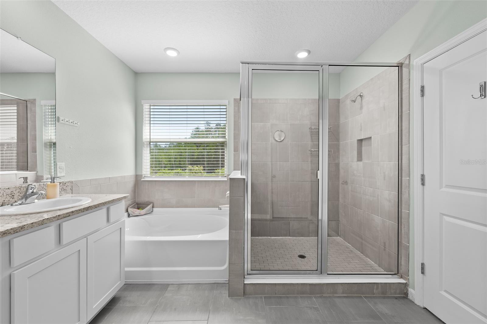 8693 BOWER BASS CIR, WESLEY CHAPEL, FL, 33545