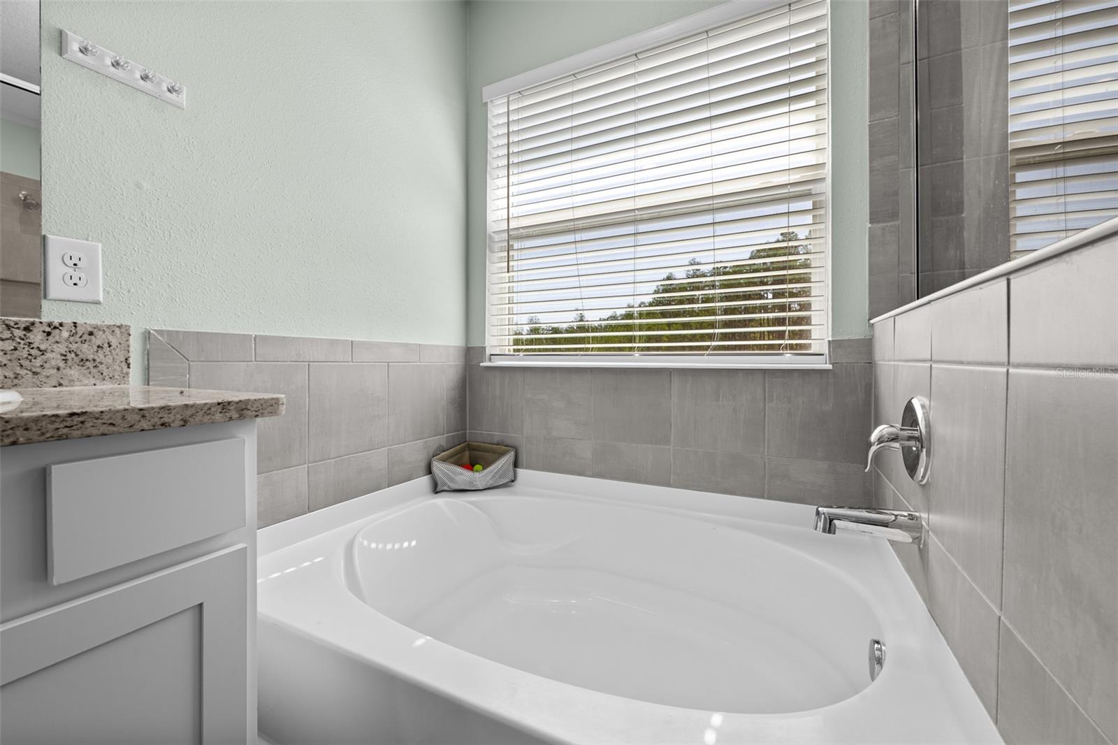 8693 BOWER BASS CIR, WESLEY CHAPEL, FL, 33545