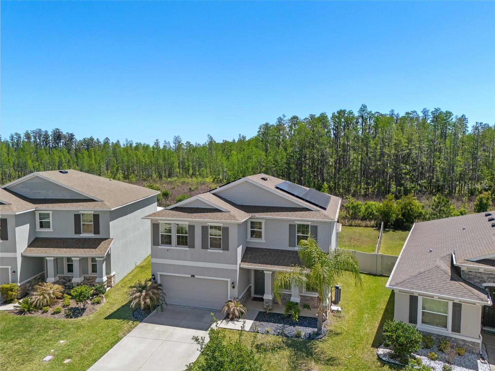 8693 BOWER BASS CIR, WESLEY CHAPEL, FL, 33545