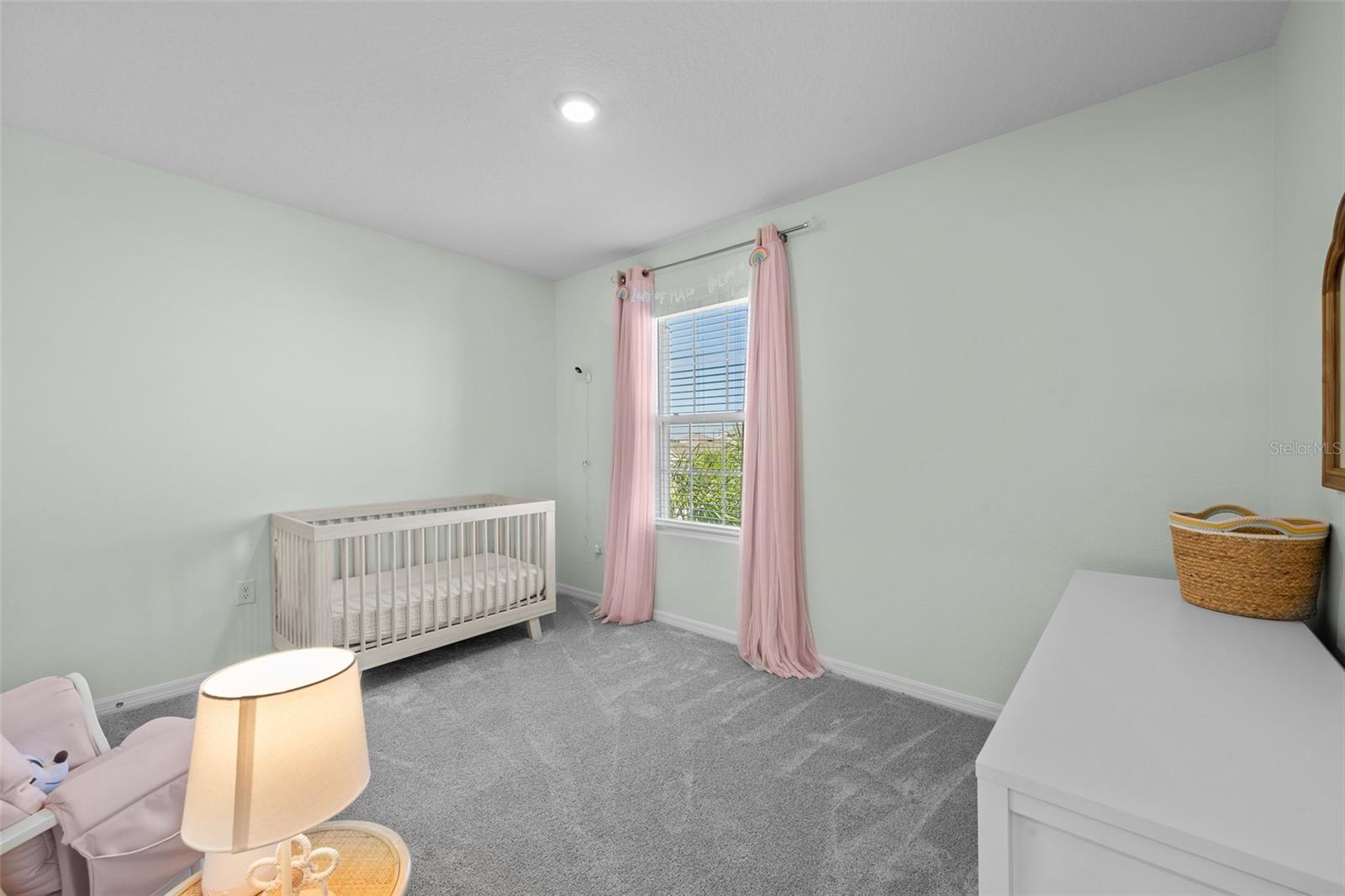 8693 BOWER BASS CIR, WESLEY CHAPEL, FL, 33545