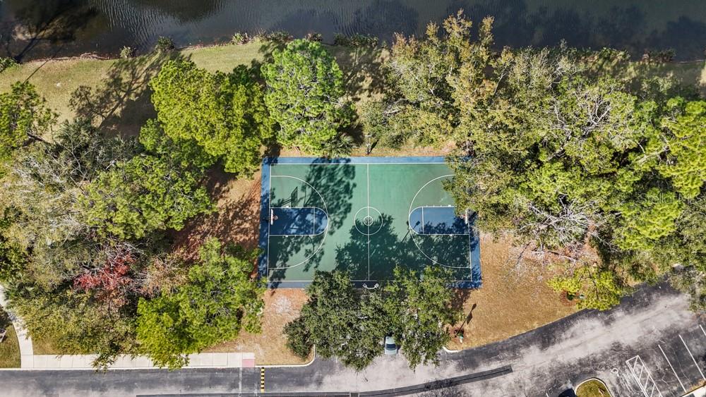 204 NORFOLK PL, CELEBRATION, FL, 34747