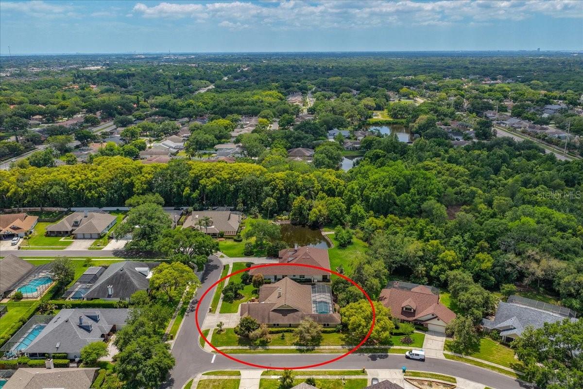 325 SHEFFIELD CIR W, PALM HARBOR, FL, 34683