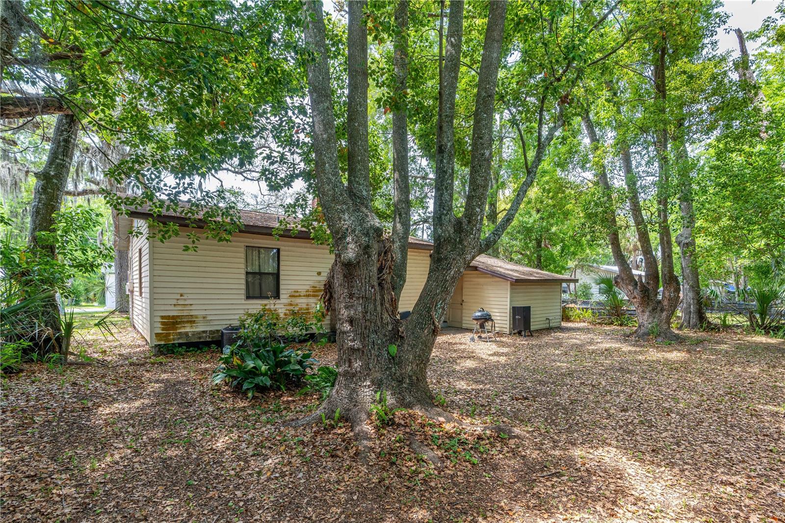 711 FLANDERS AVE, DAYTONA BEACH, FL, 32114