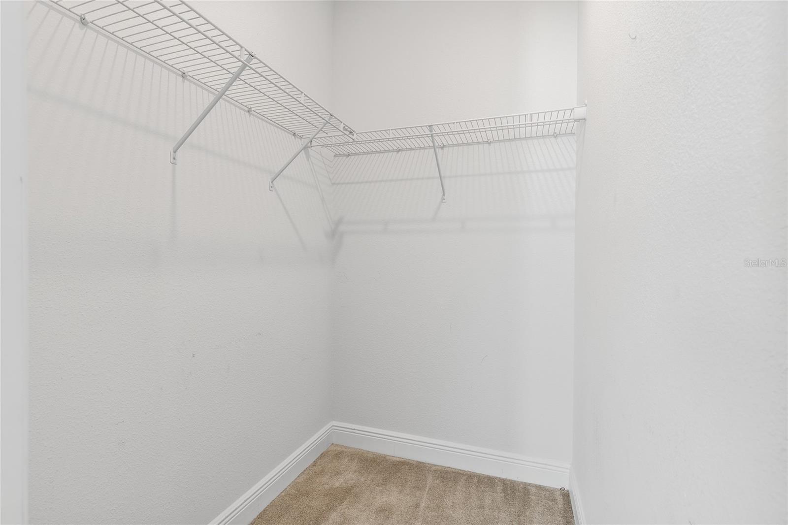 1698 JUNIPER HAMMOCK ST, WINTER GARDEN, FL, 34787