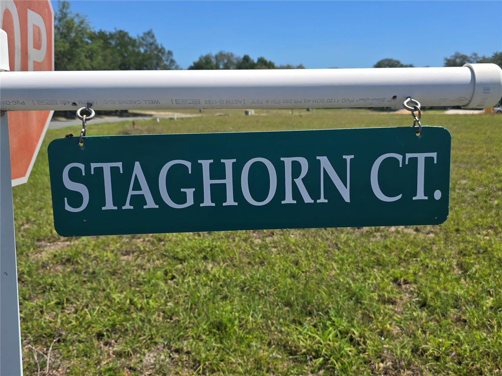 14025 STAG HORN CT, ASTATULA, FL, 34705