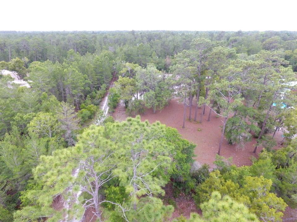 155 SNAKE HILL RD, POMONA PARK, FL, 32181