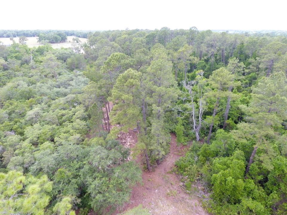 155 SNAKE HILL RD, POMONA PARK, FL, 32181