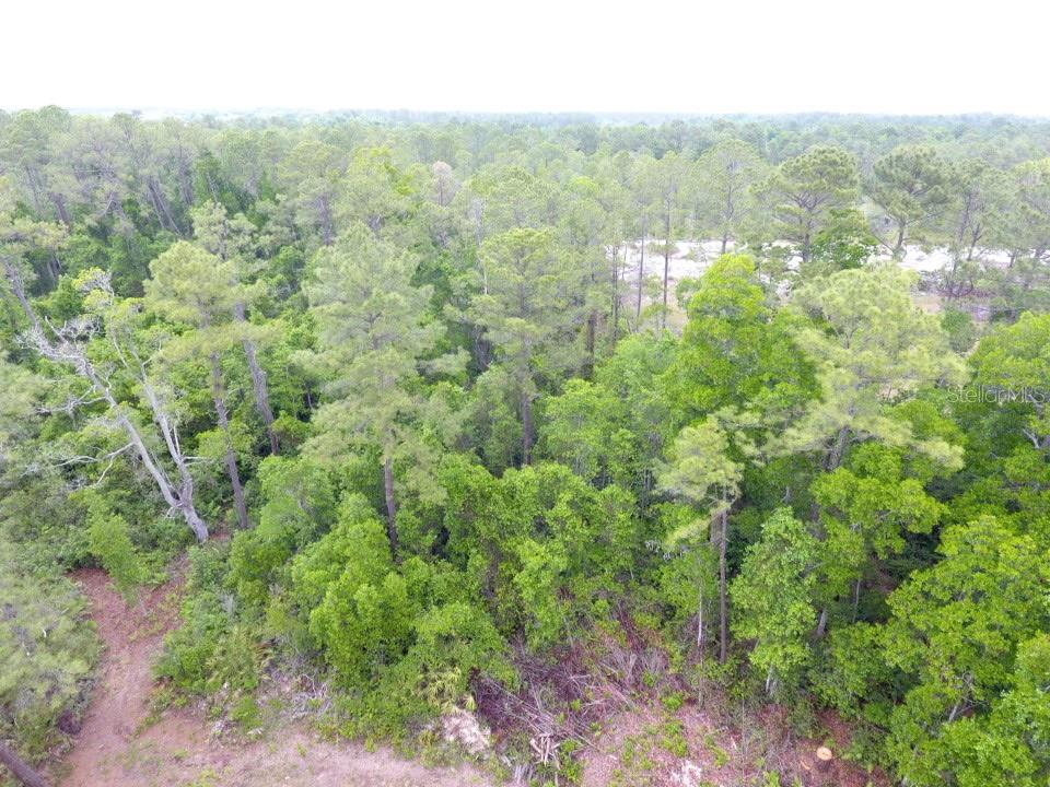 155 SNAKE HILL RD, POMONA PARK, FL, 32181