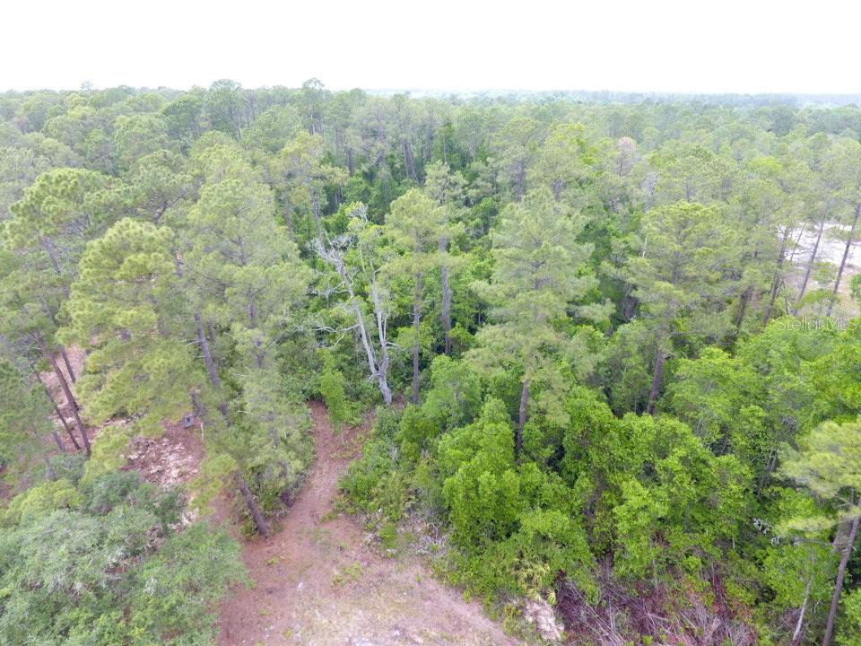 155 SNAKE HILL RD, POMONA PARK, FL, 32181