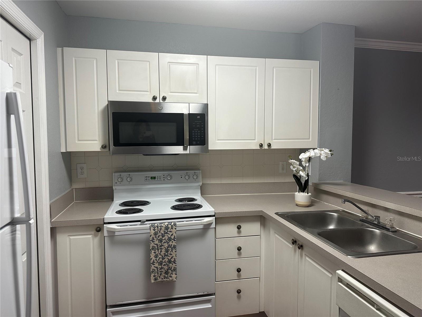 18108 PEREGINES PERCH PL #7109, LUTZ, FL, 33558