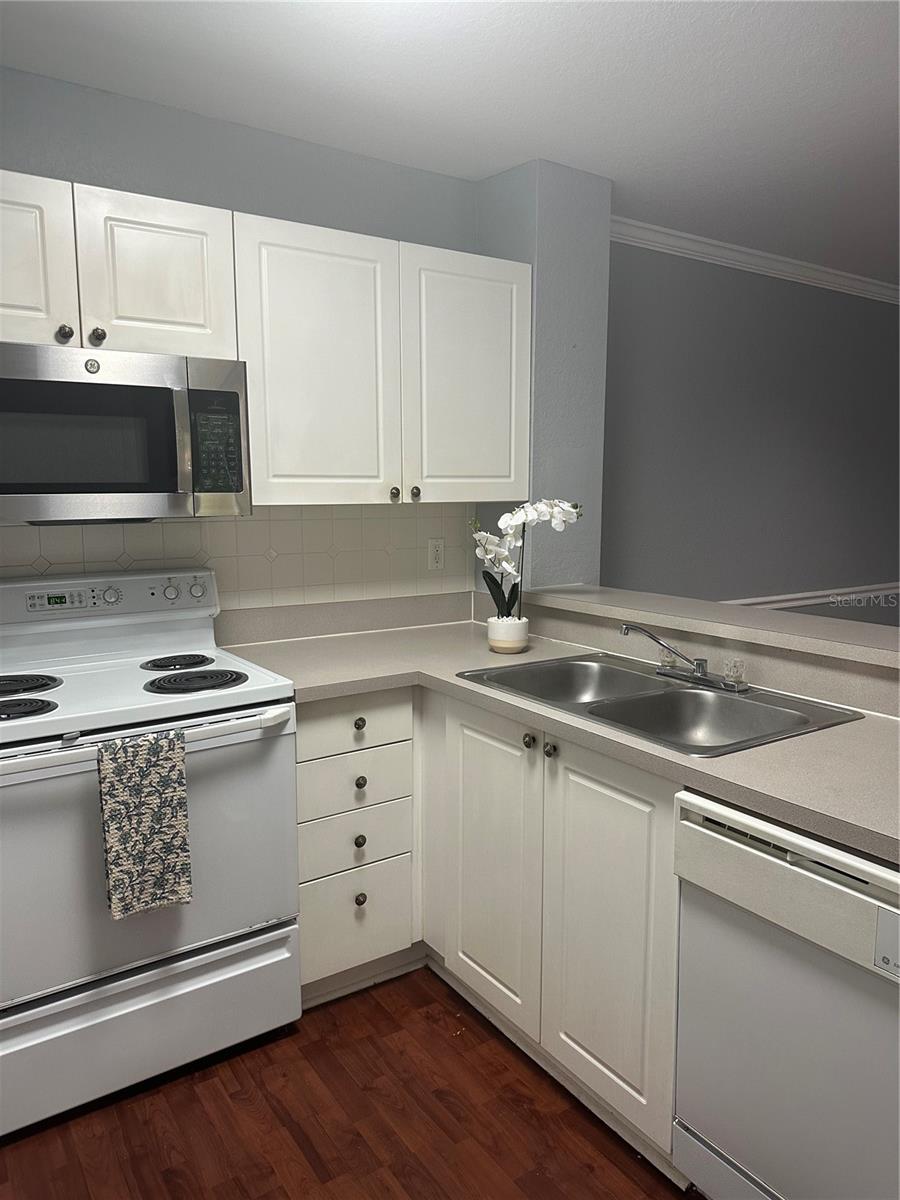 18108 PEREGINES PERCH PL #7109, LUTZ, FL, 33558