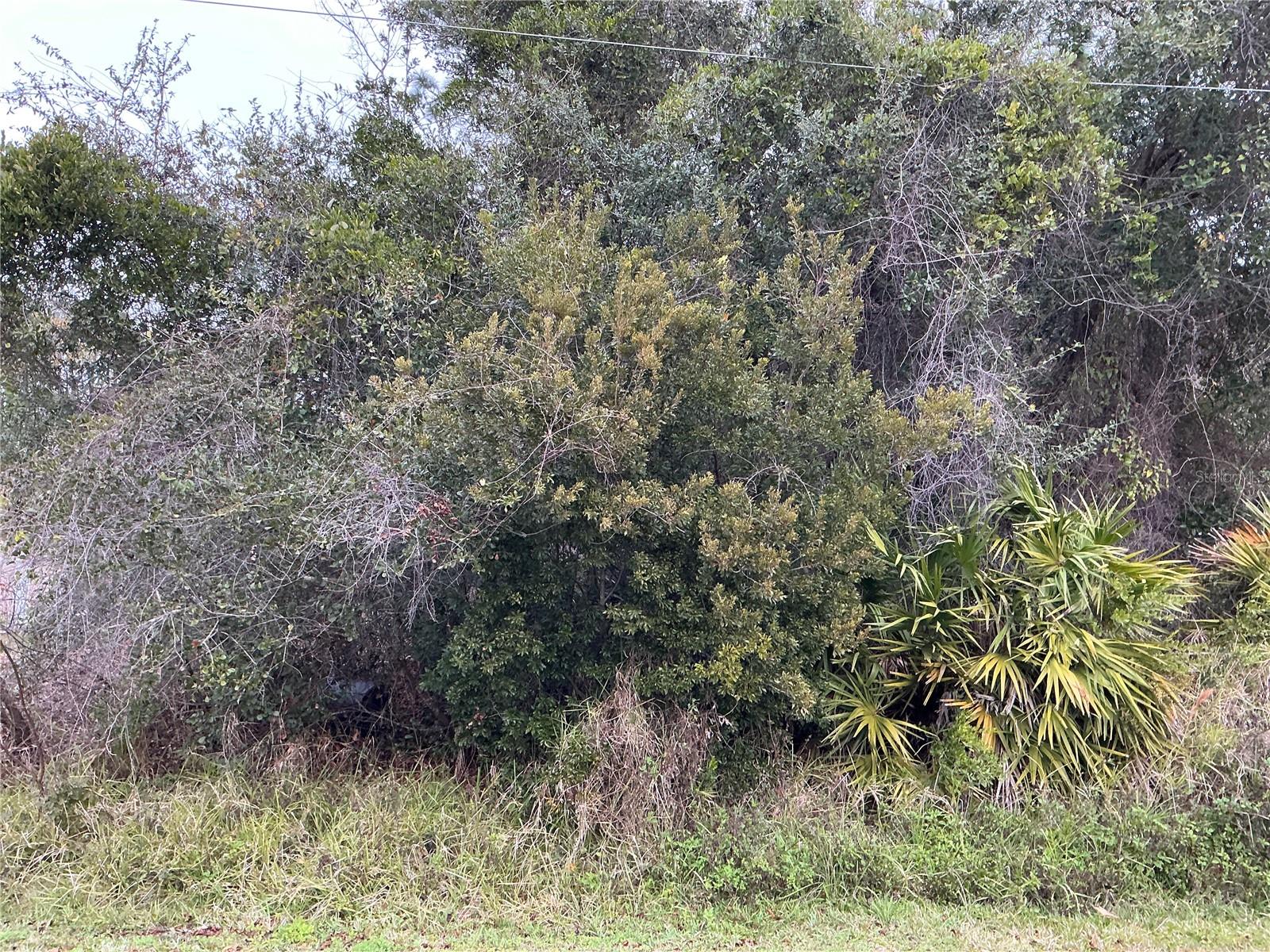 12 FAYY LN, PALM COAST, FL, 32137