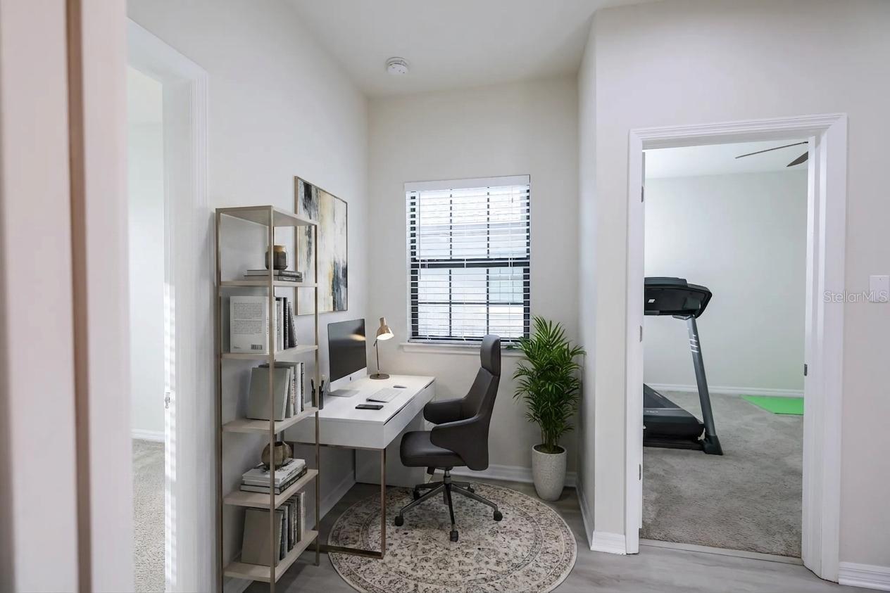 4868 WANDERING WAY, WESLEY CHAPEL, FL, 33544