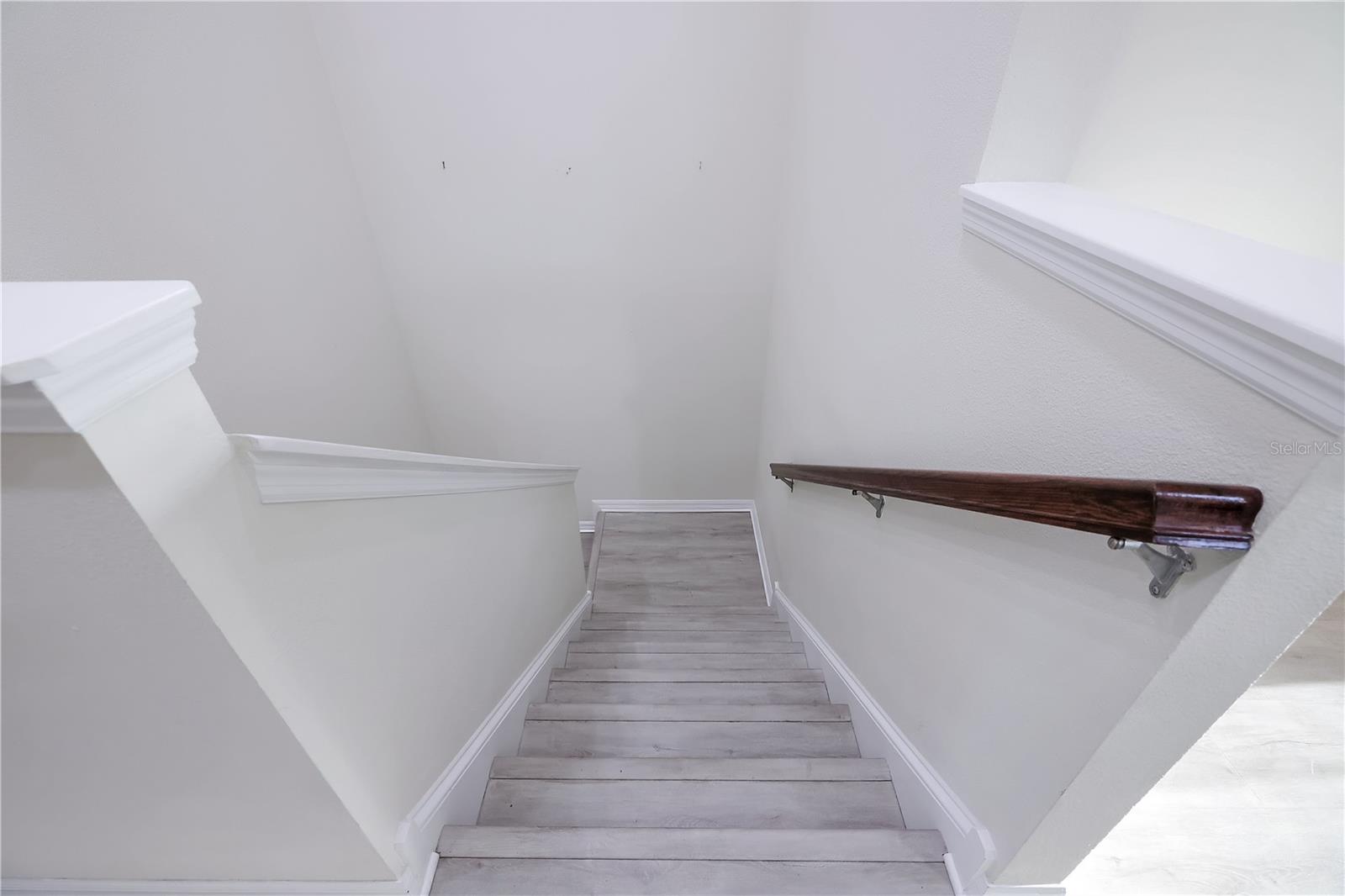 4868 WANDERING WAY, WESLEY CHAPEL, FL, 33544