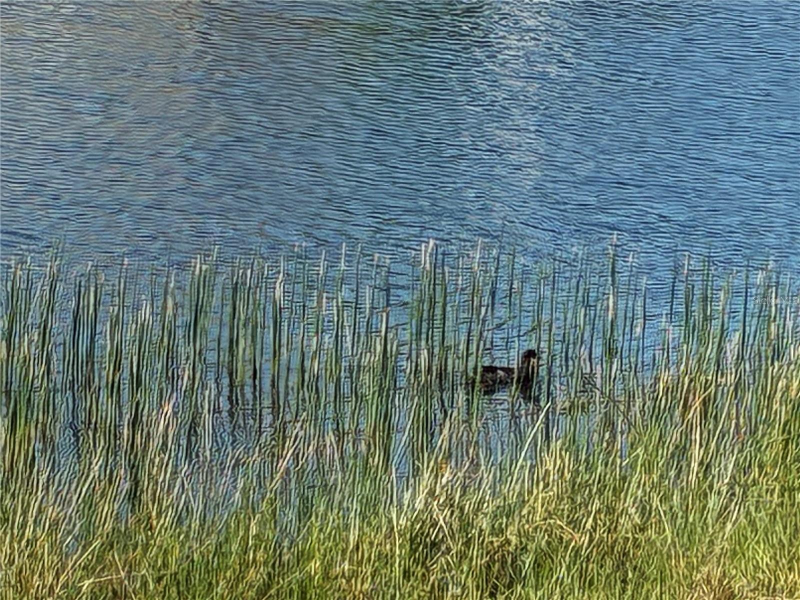 25161 E LENOX CIR, PUNTA GORDA, FL, 33950