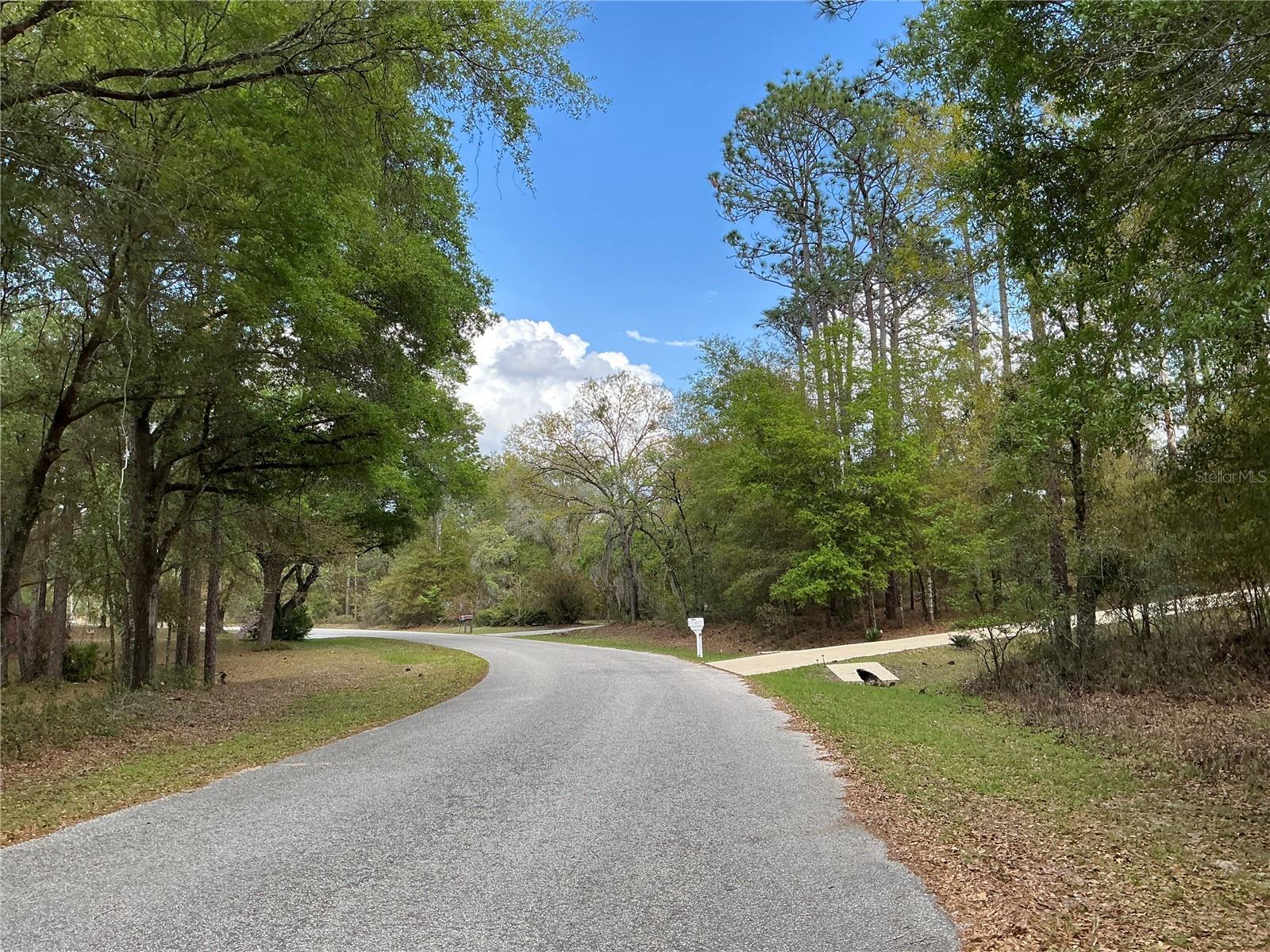 SW 208TH CIR, DUNNELLON, FL, 34431