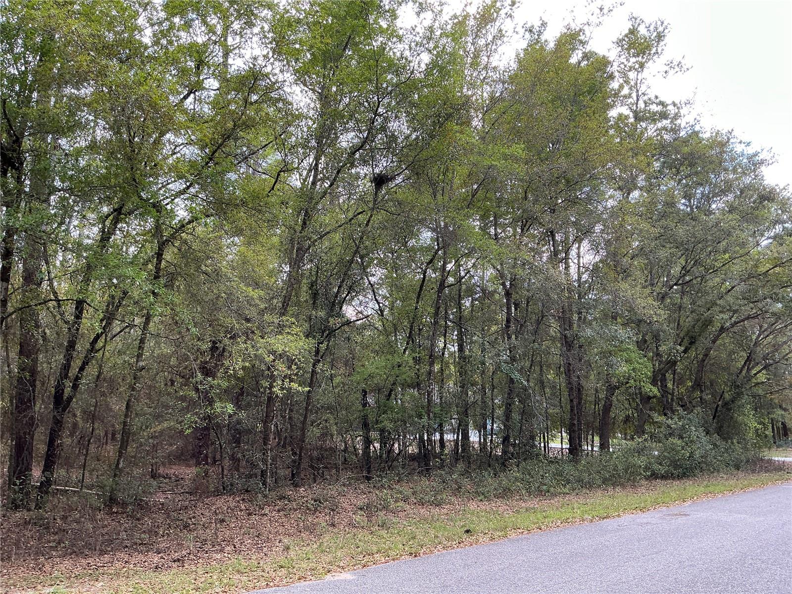 SW 208TH CIR, DUNNELLON, FL, 34431