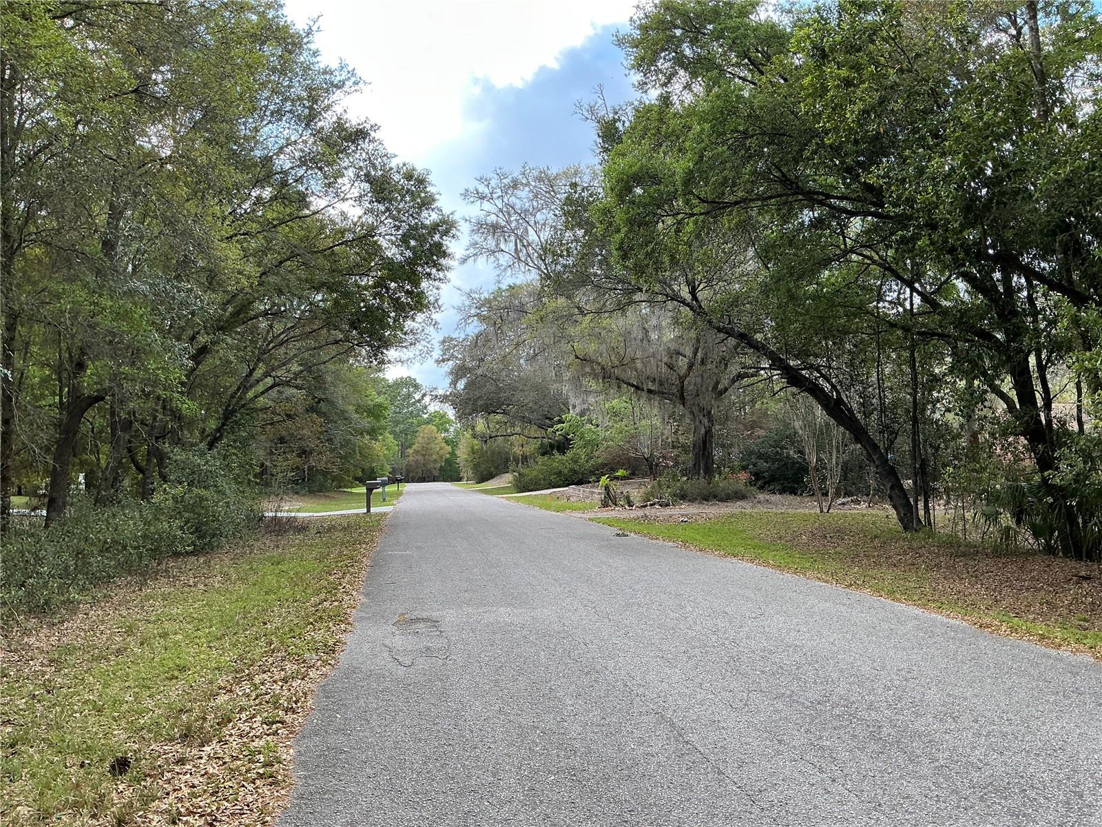 SW 208TH CIR, DUNNELLON, FL, 34431