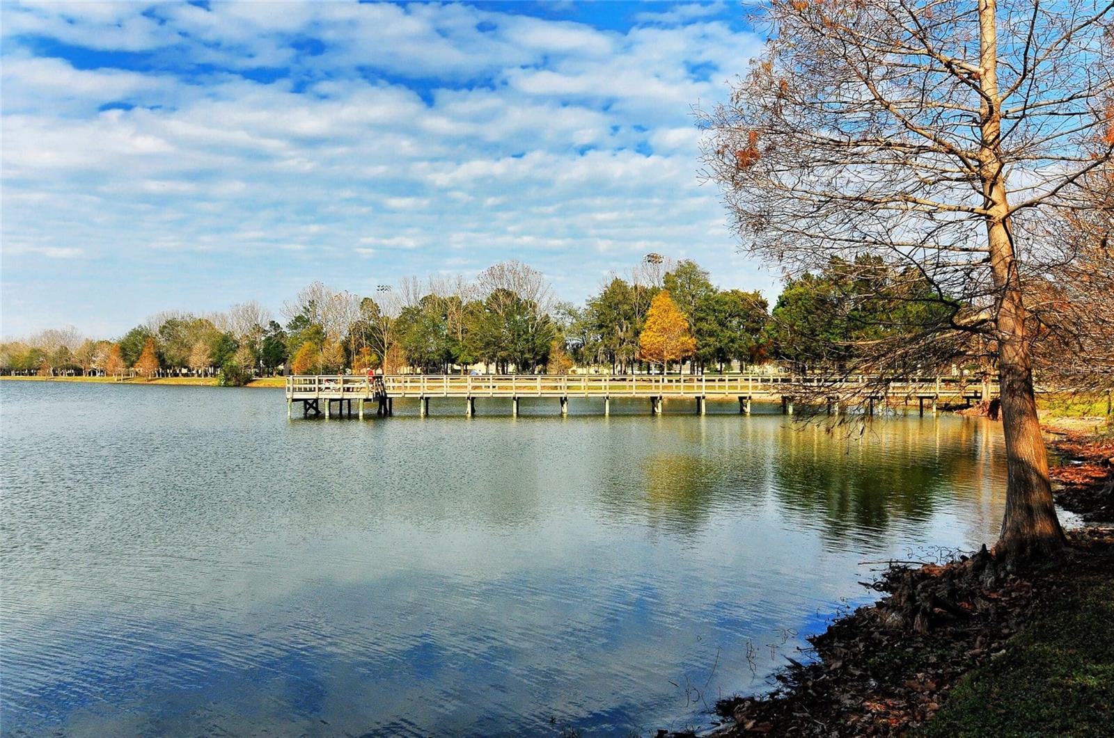 7003 CHATUM LIGHT RUN, BRADENTON, FL, 34212