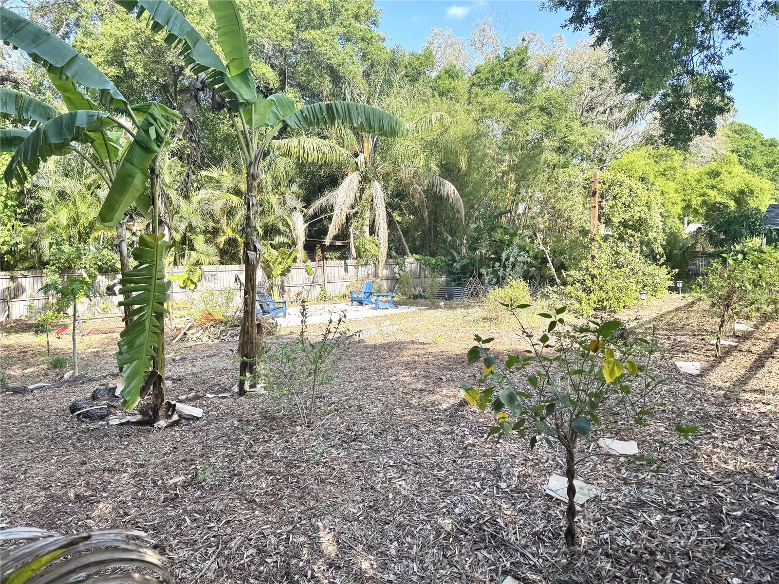 2098 BRENT PL, PALM HARBOR, FL, 34683