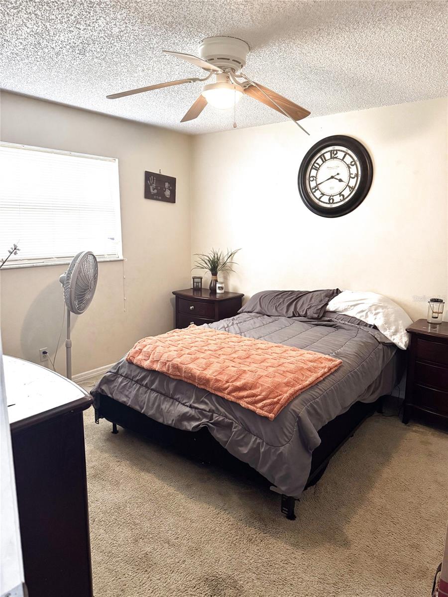 2098 BRENT PL, PALM HARBOR, FL, 34683