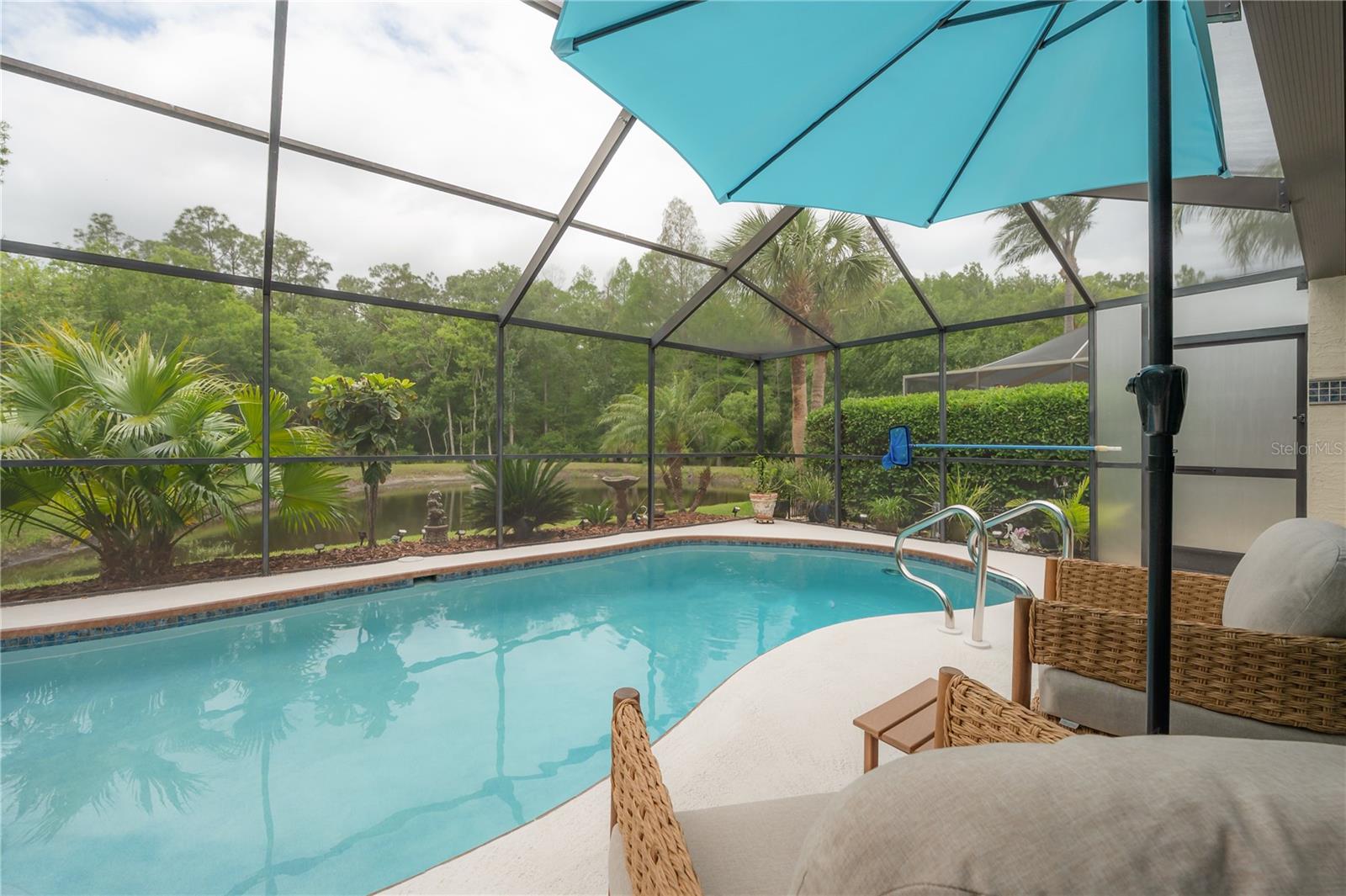 3654 DARSTON ST, PALM HARBOR, FL, 34685