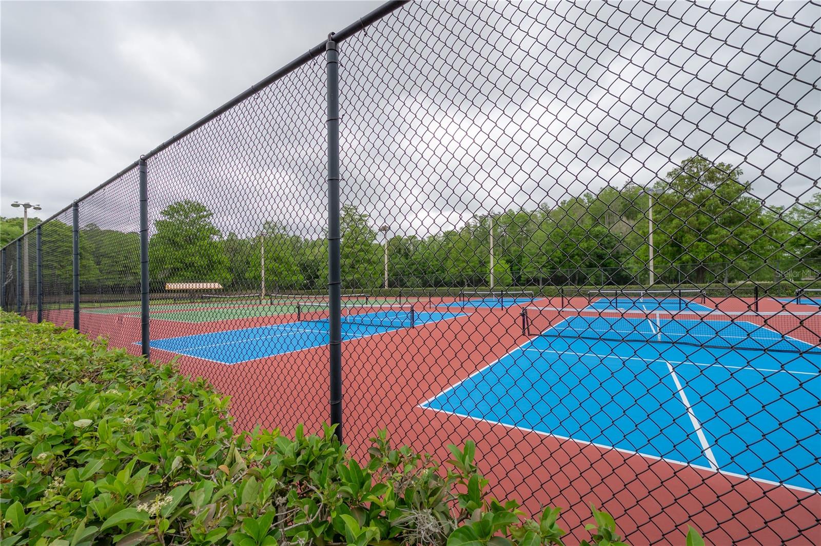 3654 DARSTON ST, PALM HARBOR, FL, 34685