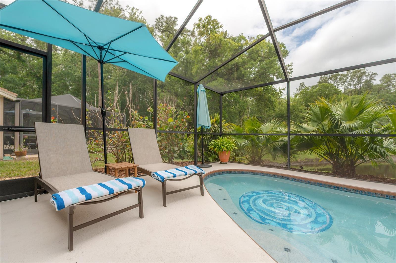 3654 DARSTON ST, PALM HARBOR, FL, 34685