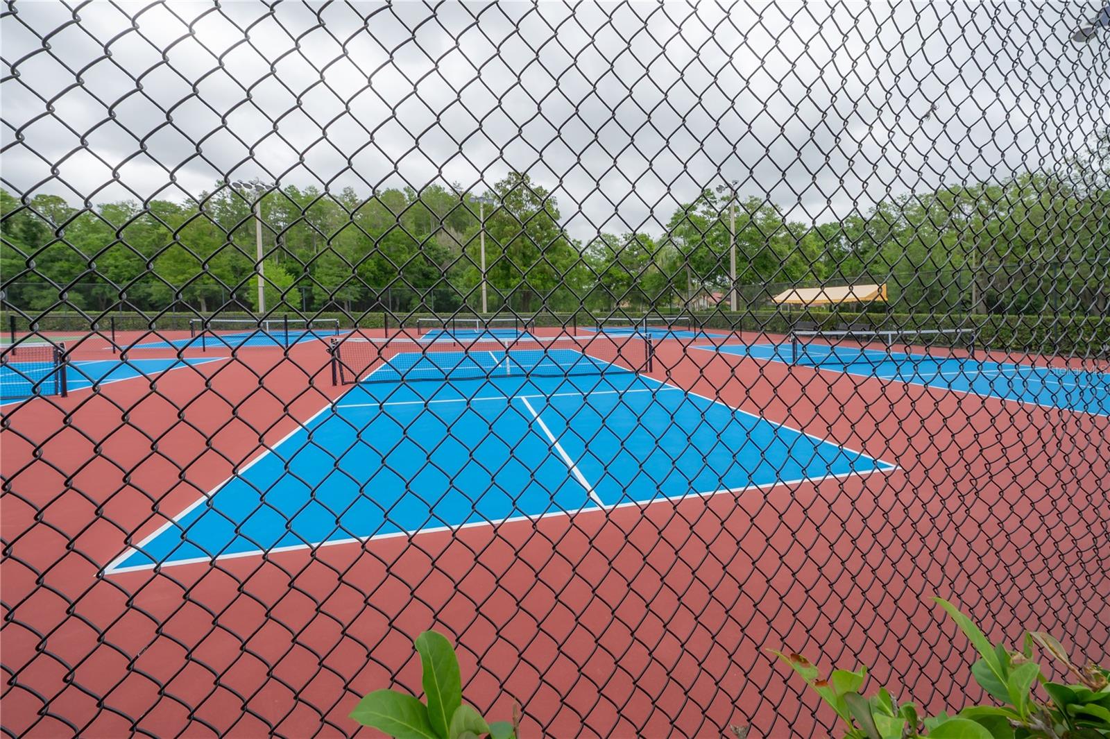 3654 DARSTON ST, PALM HARBOR, FL, 34685