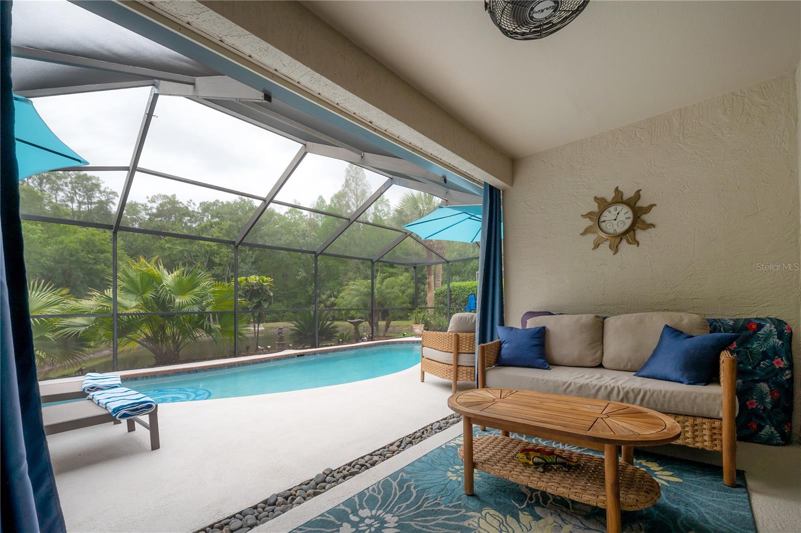 3654 DARSTON ST, PALM HARBOR, FL, 34685