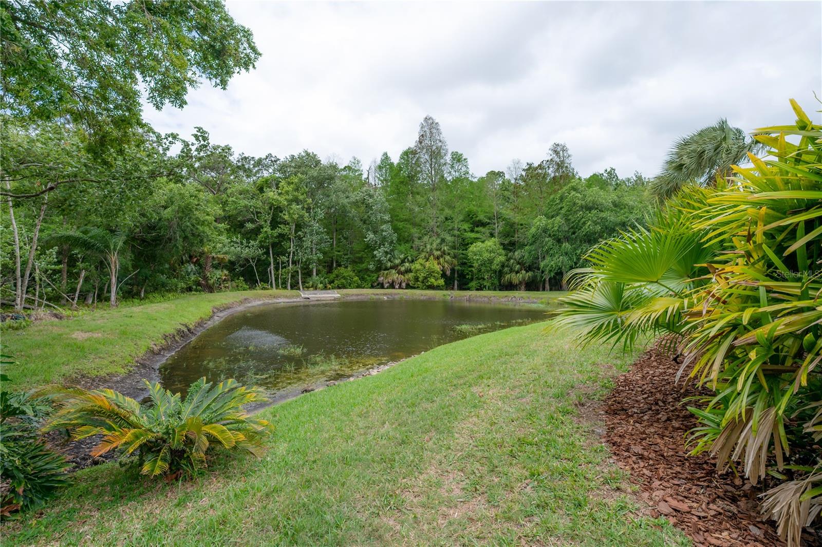 3654 DARSTON ST, PALM HARBOR, FL, 34685