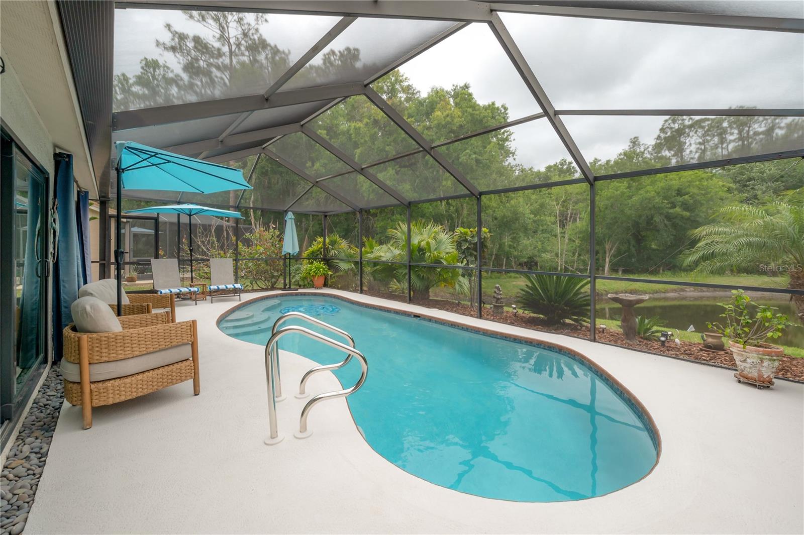 3654 DARSTON ST, PALM HARBOR, FL, 34685