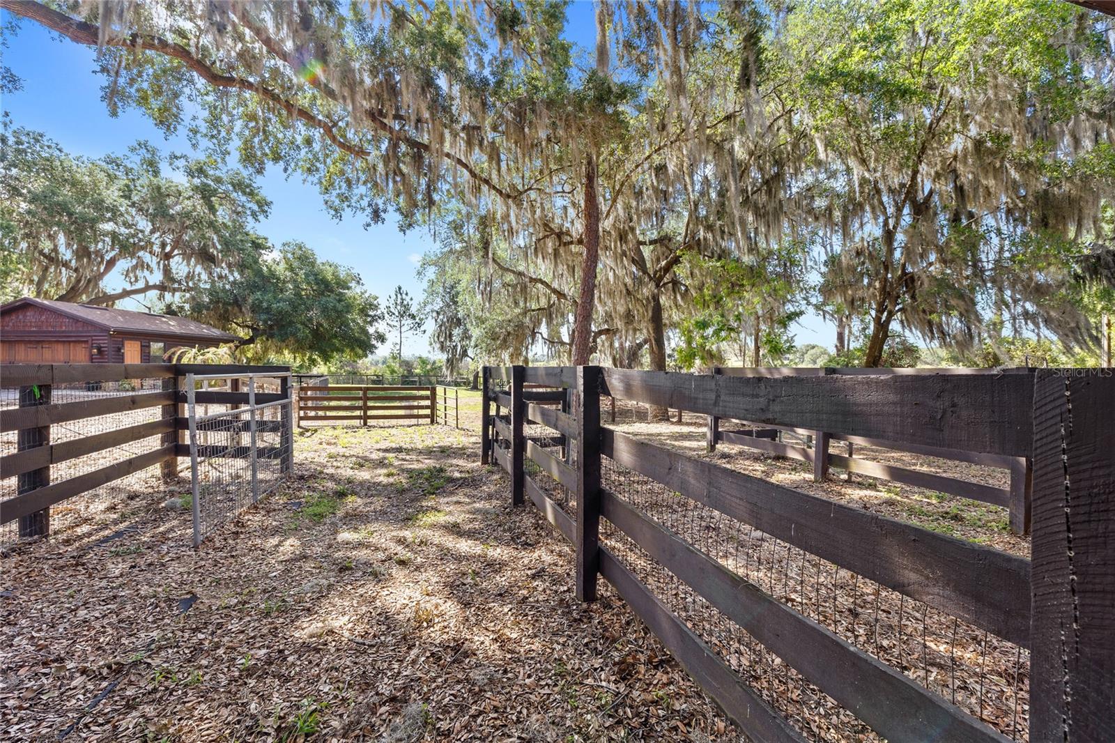 10925 ARROWTREE BLVD, CLERMONT, FL, 34715