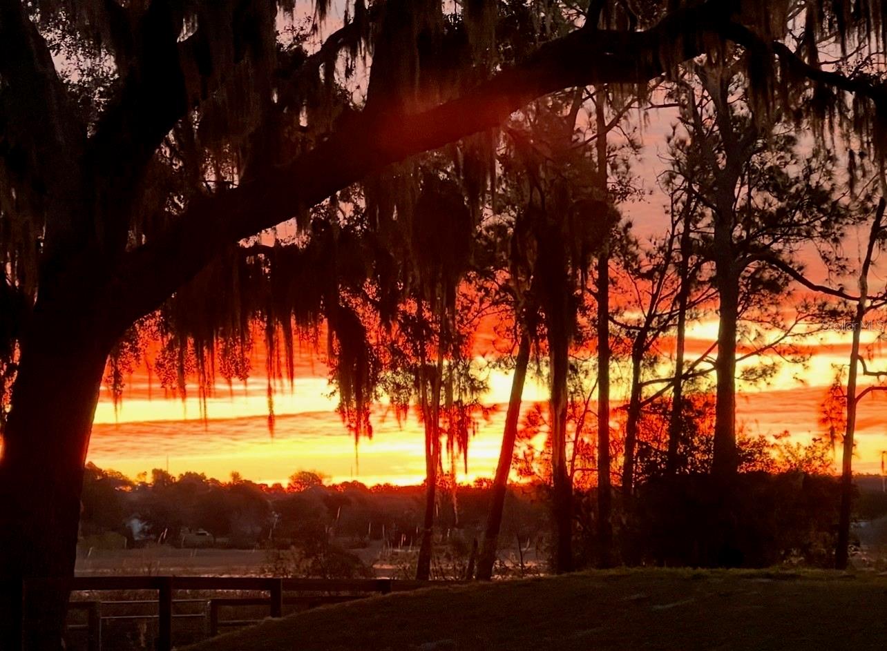 10925 ARROWTREE BLVD, CLERMONT, FL, 34715