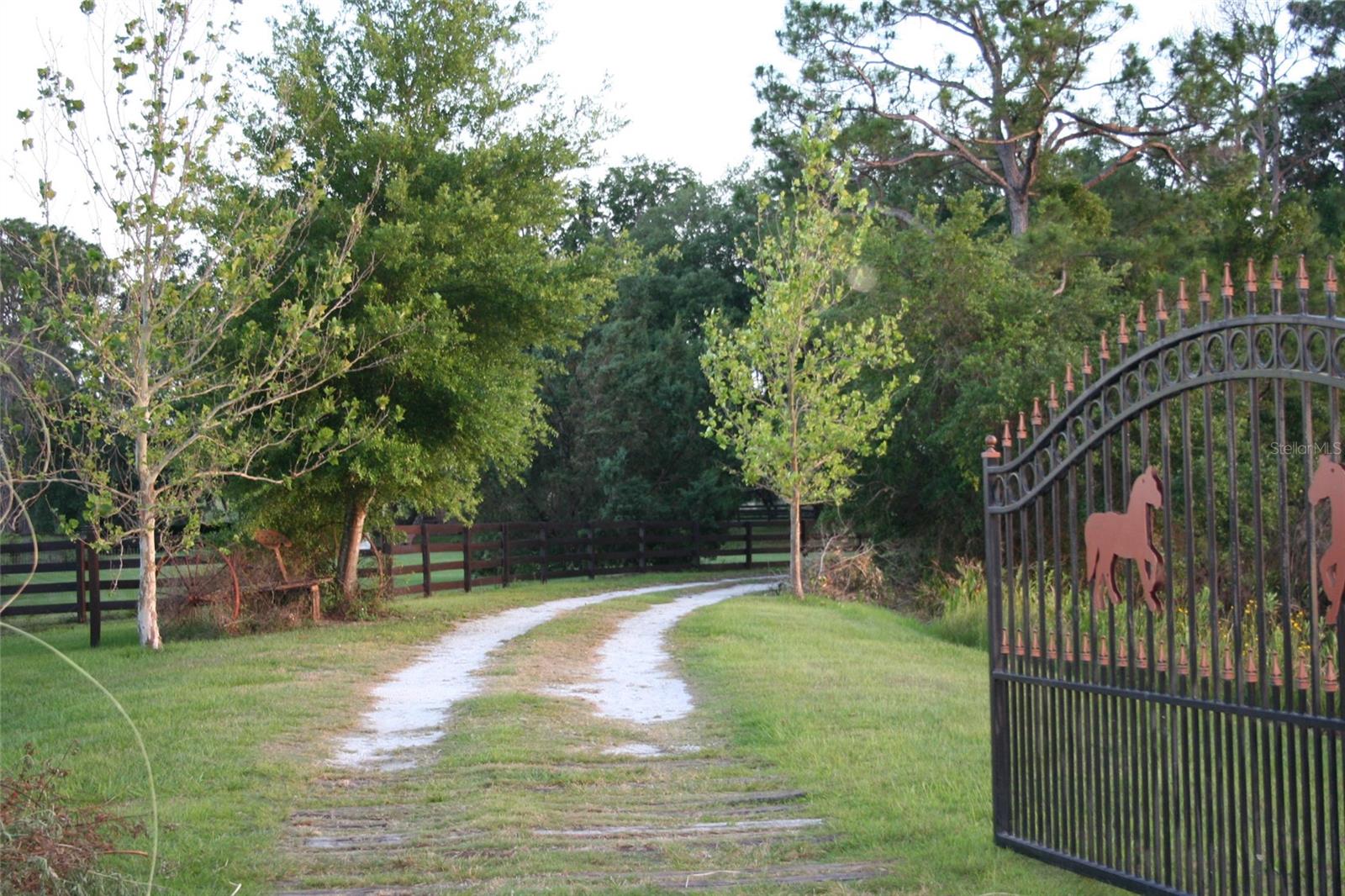 10925 ARROWTREE BLVD, CLERMONT, FL, 34715