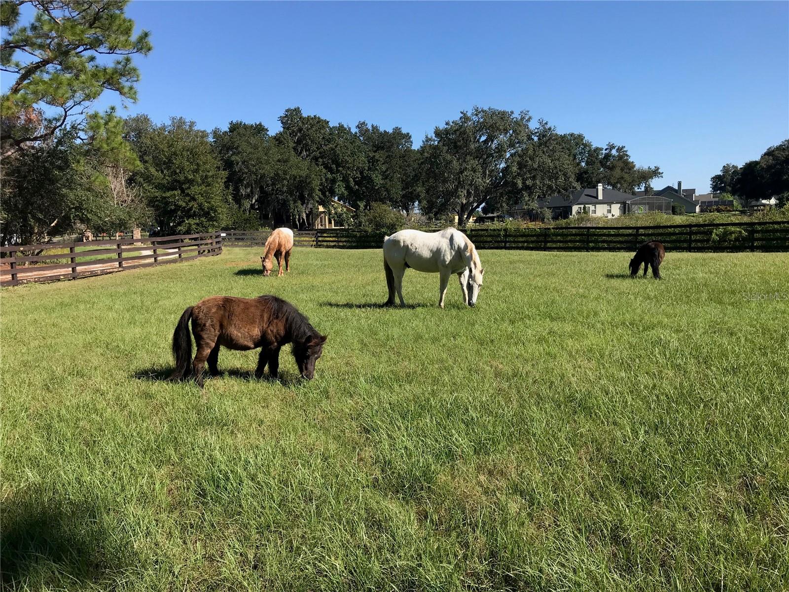 10925 ARROWTREE BLVD, CLERMONT, FL, 34715