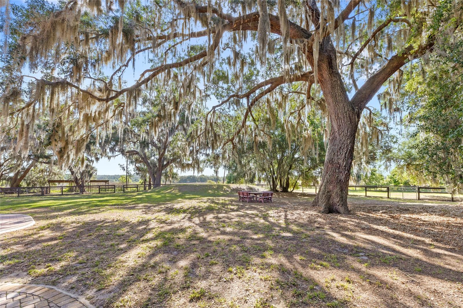 10925 ARROWTREE BLVD, CLERMONT, FL, 34715