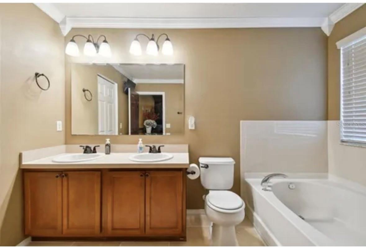 18907 RANDALL PL, LAND O LAKES, FL, 34638