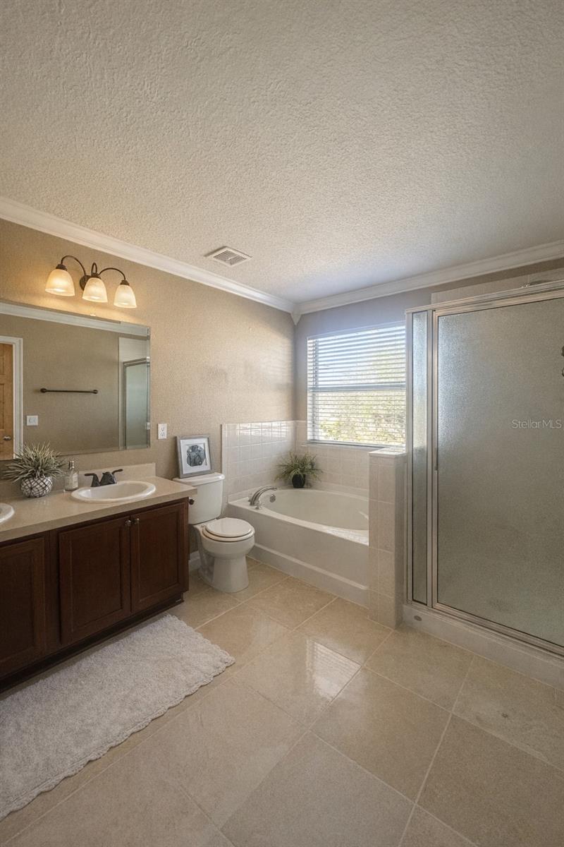 18907 RANDALL PL, LAND O LAKES, FL, 34638