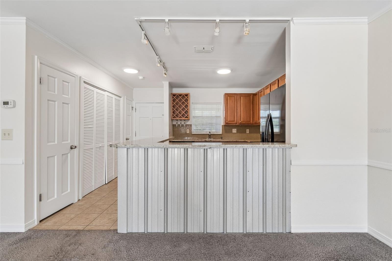 10314 CARROLLWOOD CT #56, TAMPA, FL, 33618