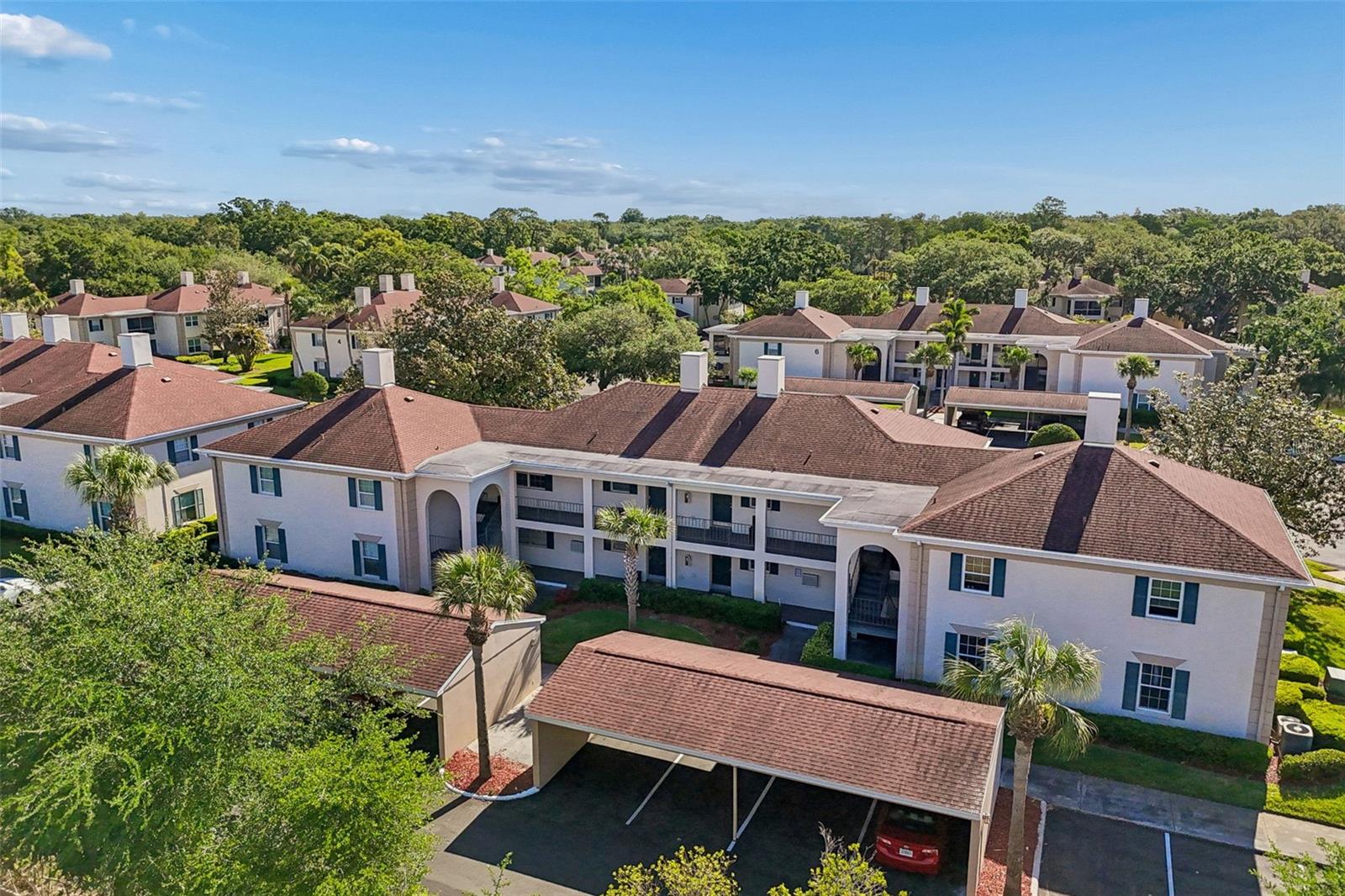 10314 CARROLLWOOD CT #56, TAMPA, FL, 33618