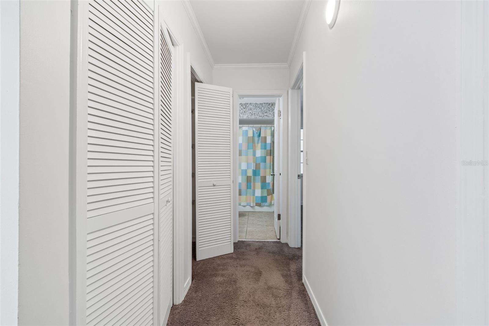 10314 CARROLLWOOD CT #56, TAMPA, FL, 33618