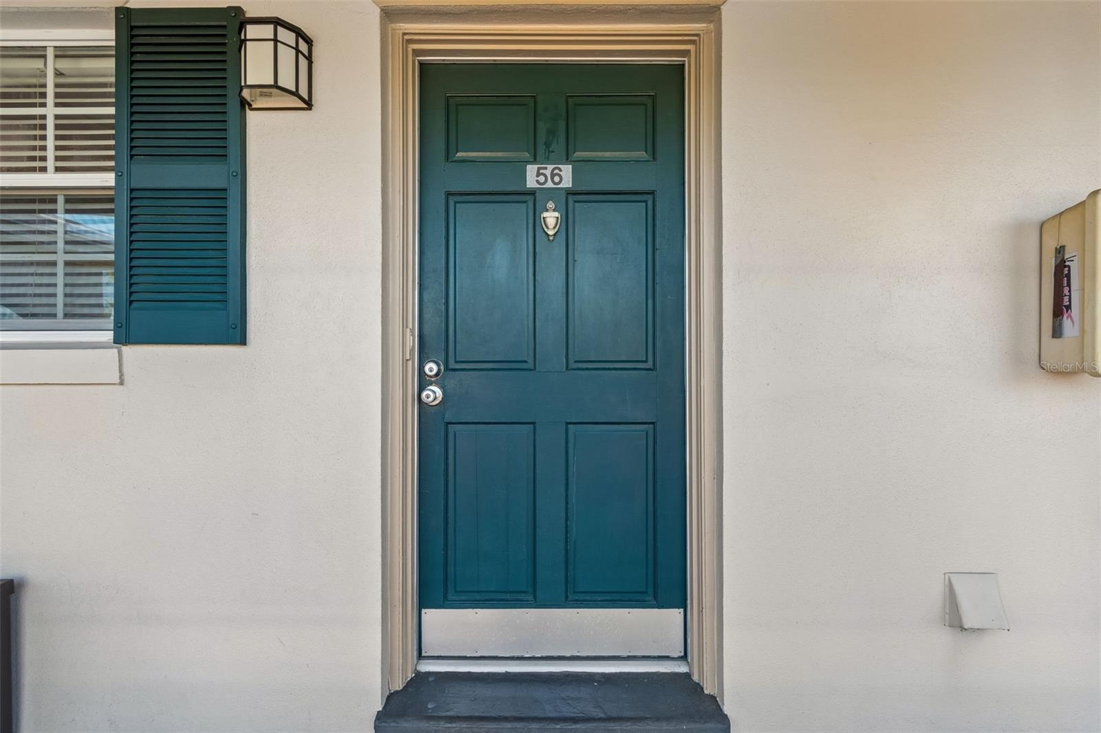 10314 CARROLLWOOD CT #56, TAMPA, FL, 33618