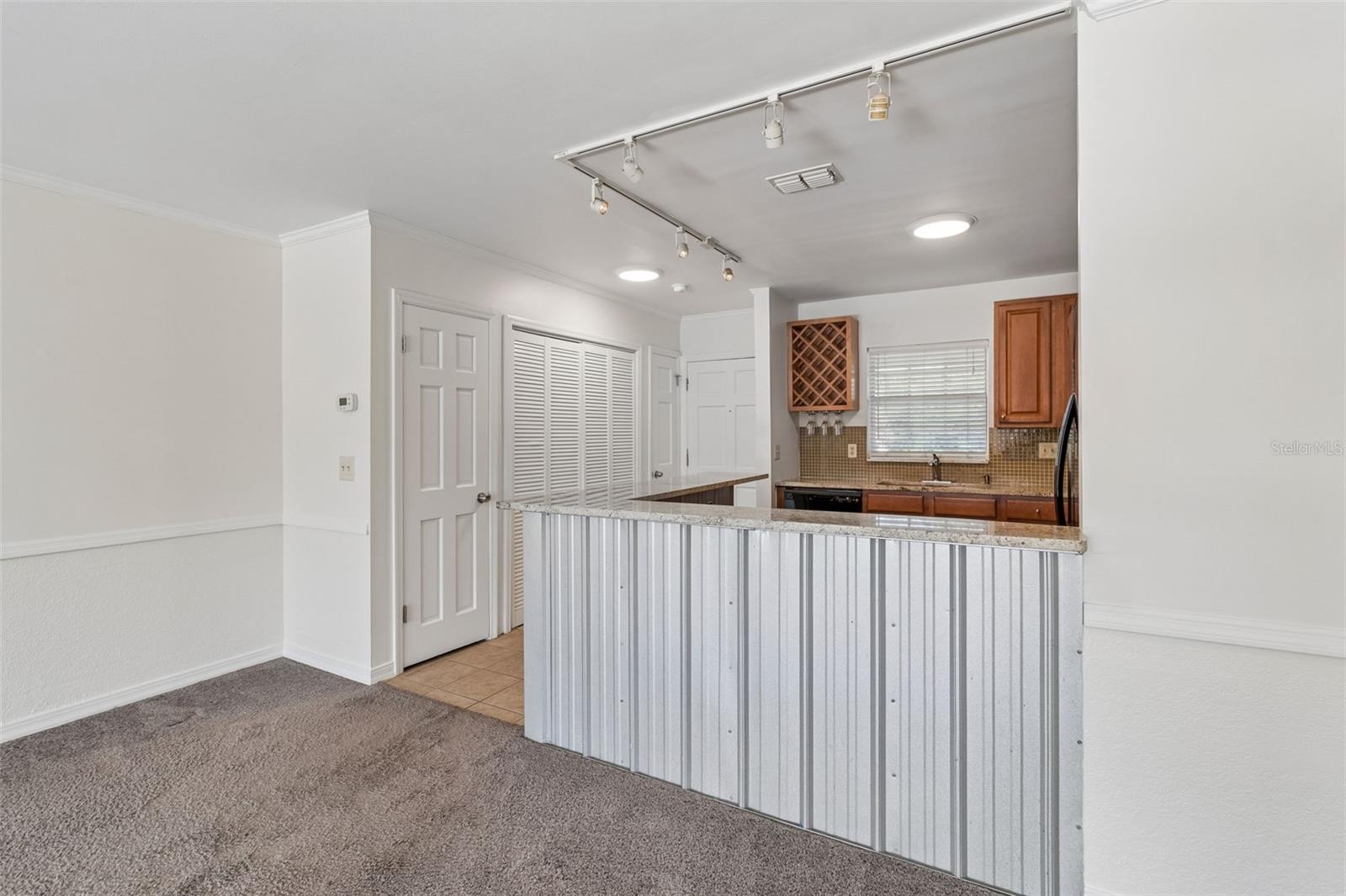 10314 CARROLLWOOD CT #56, TAMPA, FL, 33618