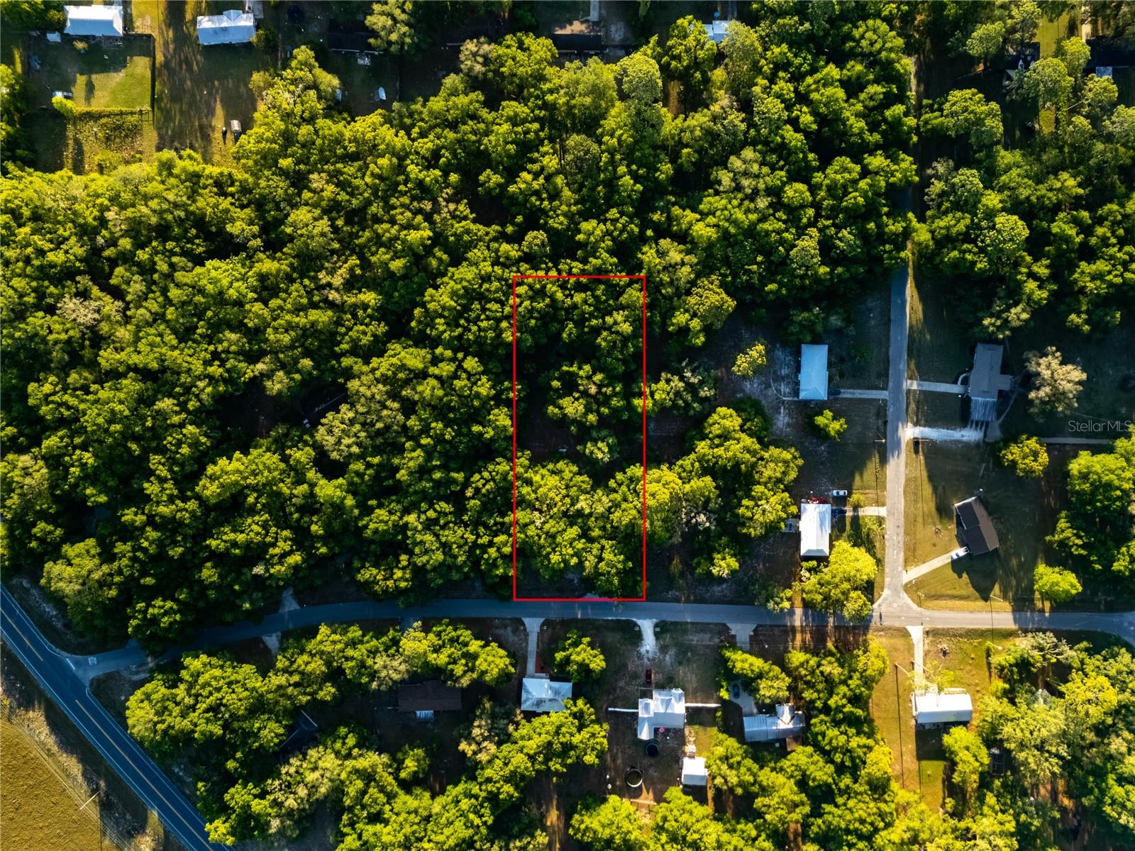 2731 NE 165TH TER, WILLISTON, FL, 32696