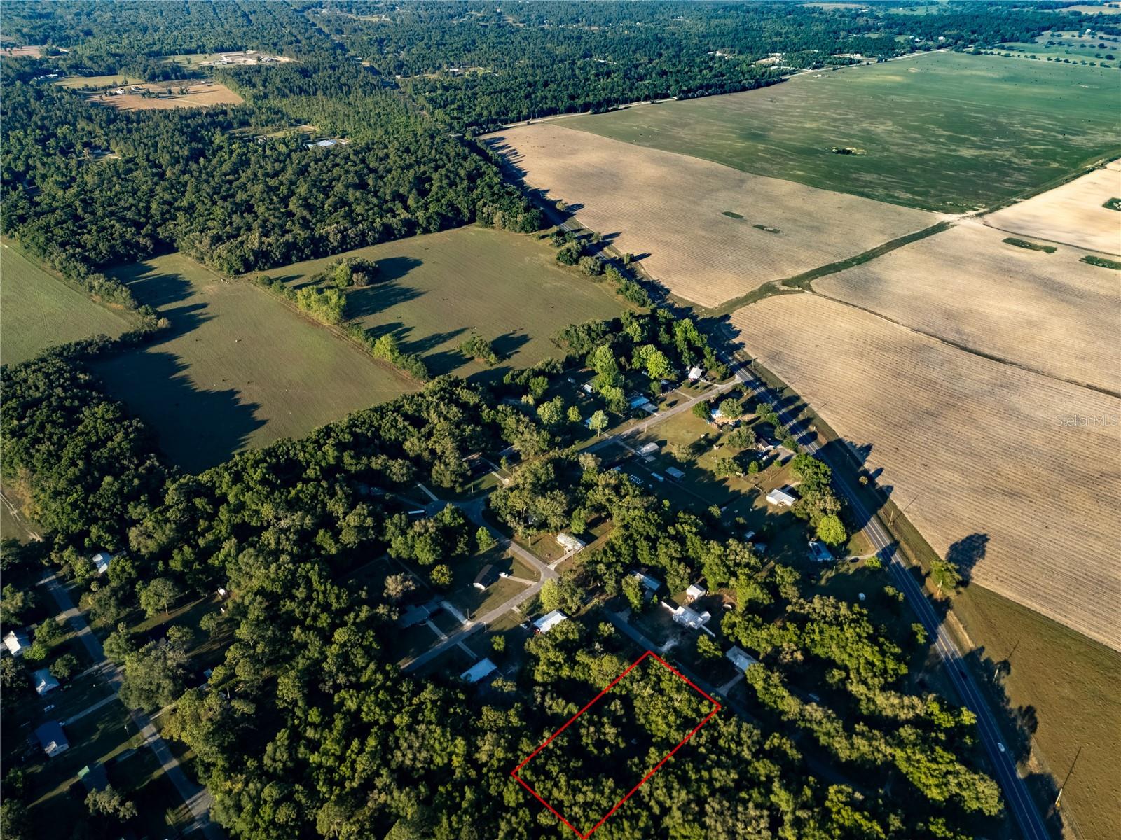 2731 NE 165TH TER, WILLISTON, FL, 32696